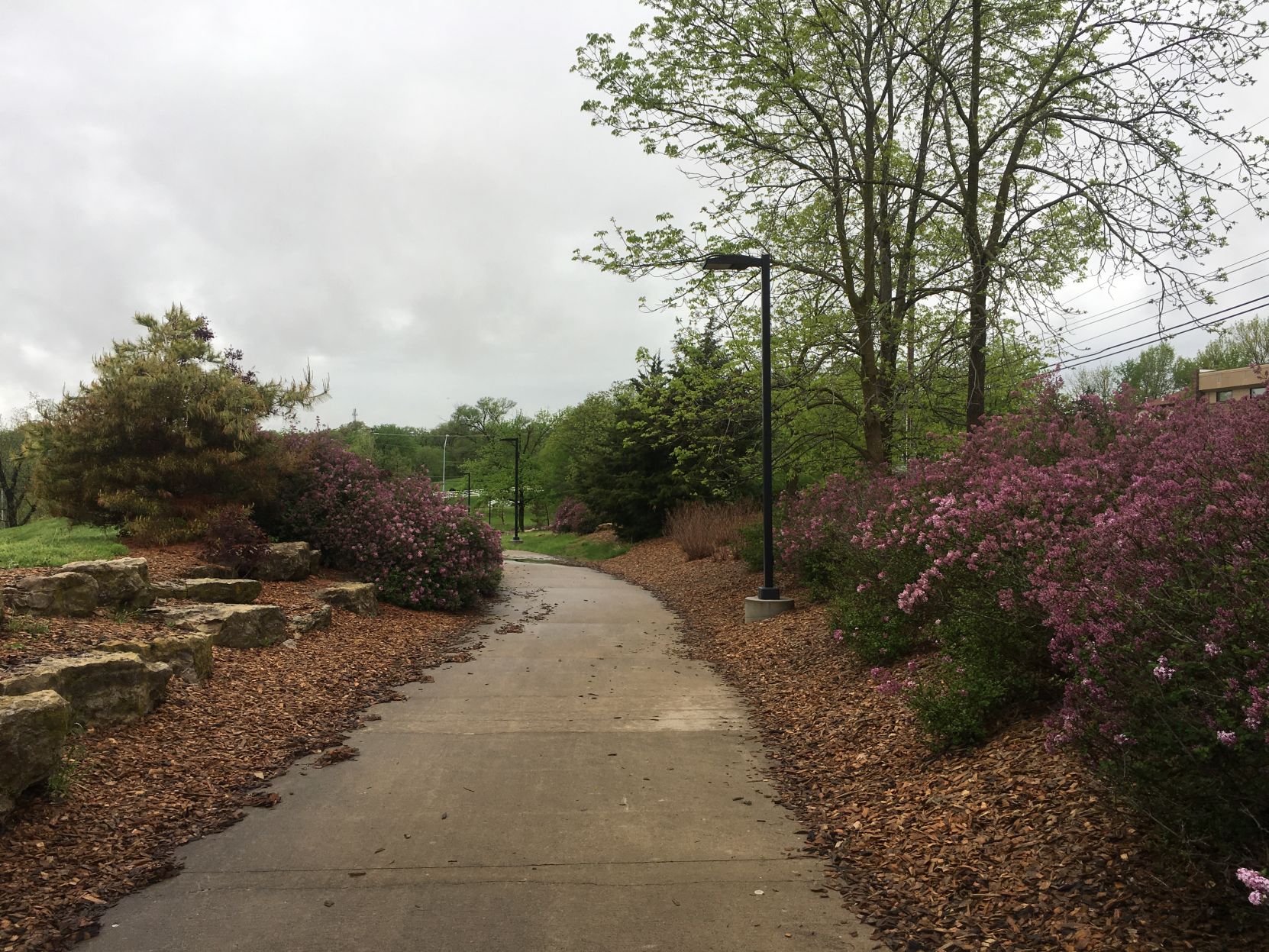 stephens lake